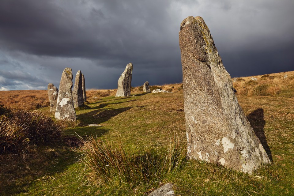 a row of rocks in a field with a cloudy sky in the background