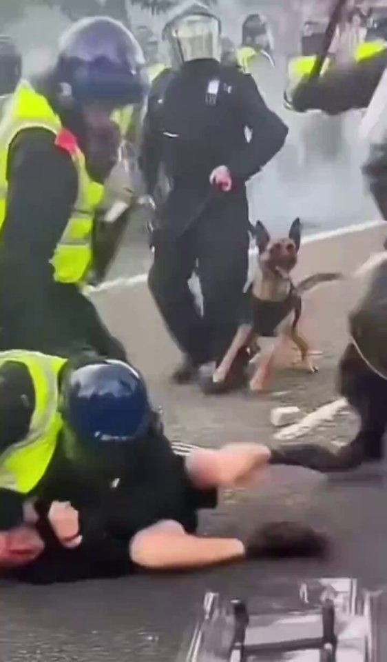 Cops cracked down on the riot, pulling violent protesters to the ground