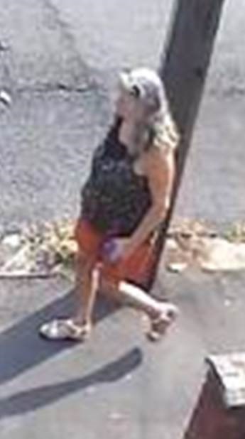 She was last seen walking along Cantley Lane in the direction of Rose Hill Cemetery