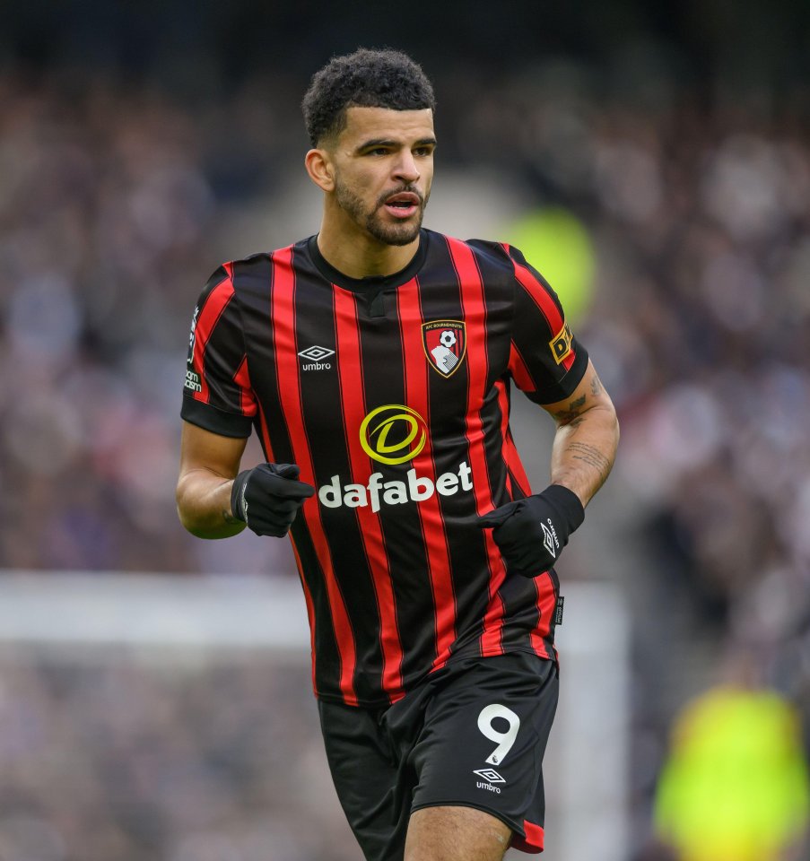 Tottenham are closing in on a deal for Dominic Solanke