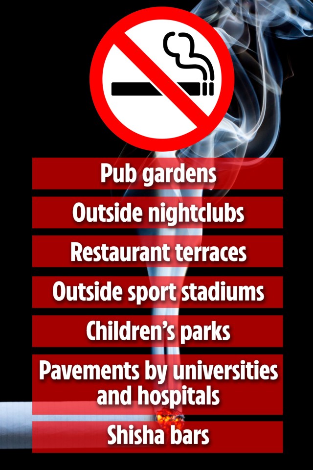 A list of the places where smoking could be banned