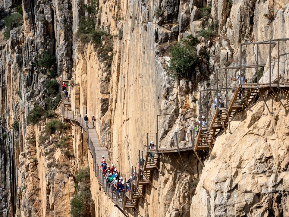 a group of people are walking along a wooden bridge