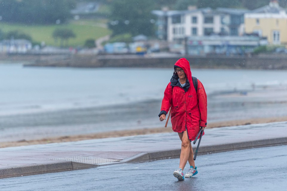 a woman in a red jacket is walking in the rain