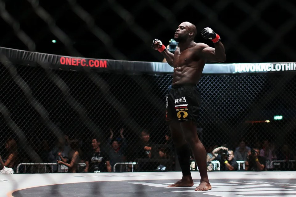 Manhoef scored a whopping 56 knockouts during his iconic career