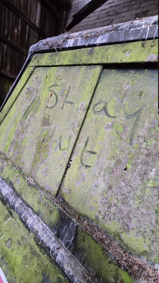 the word slay is written on a green surface