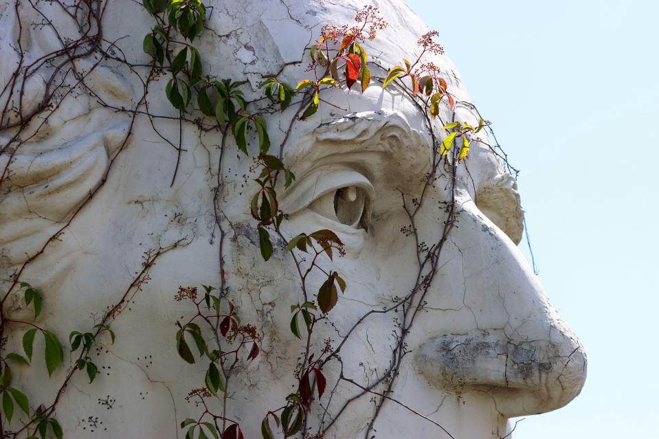 a close up of a statue with vines growing on it