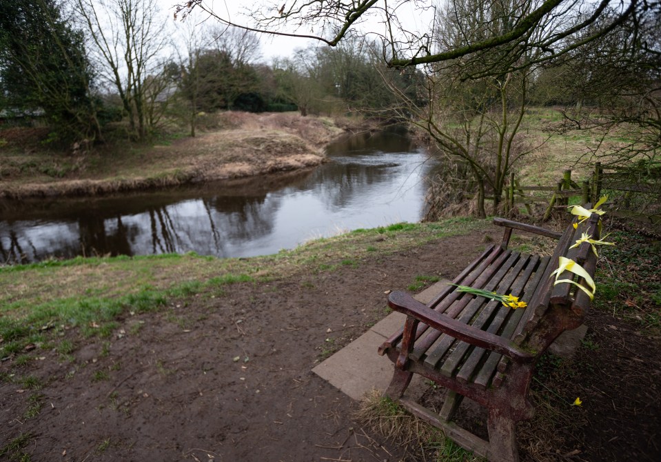 a wooden bench with a yellow flower on it sits next to a river