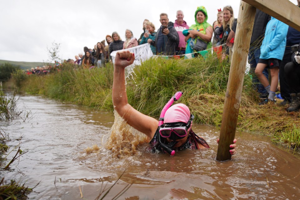 Britain has multiple zany traditions including bog snorkelling