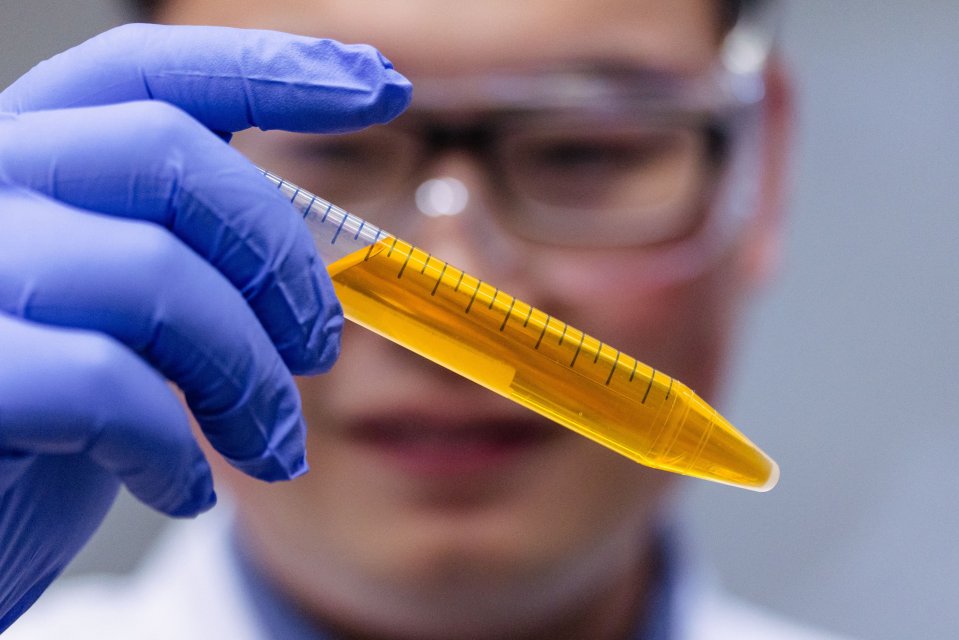 Dr Zihao Ou holds a vial of the common food colouring in solution