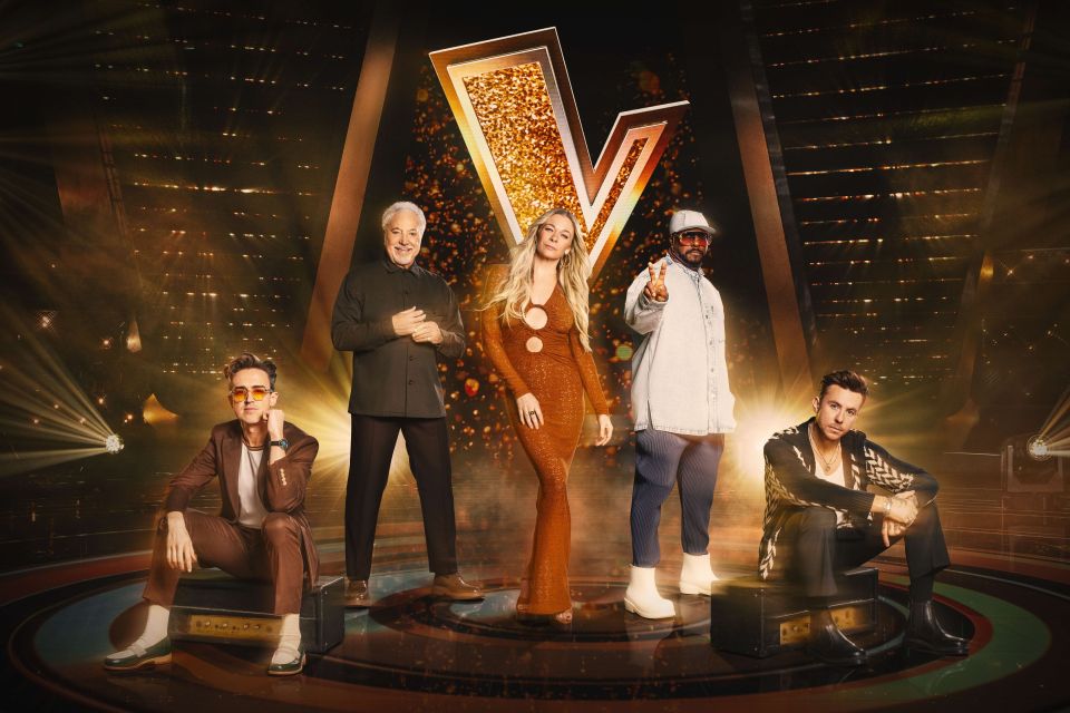  The Voice UK is a big hit for ITV and has made stars out of its contestants