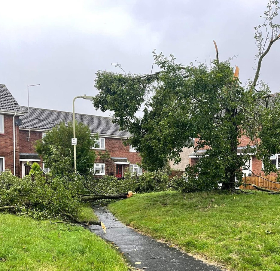 The fast winds damaged trees and properties