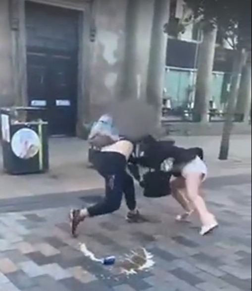 The pair were brawling in broad daylight on Parliament Row