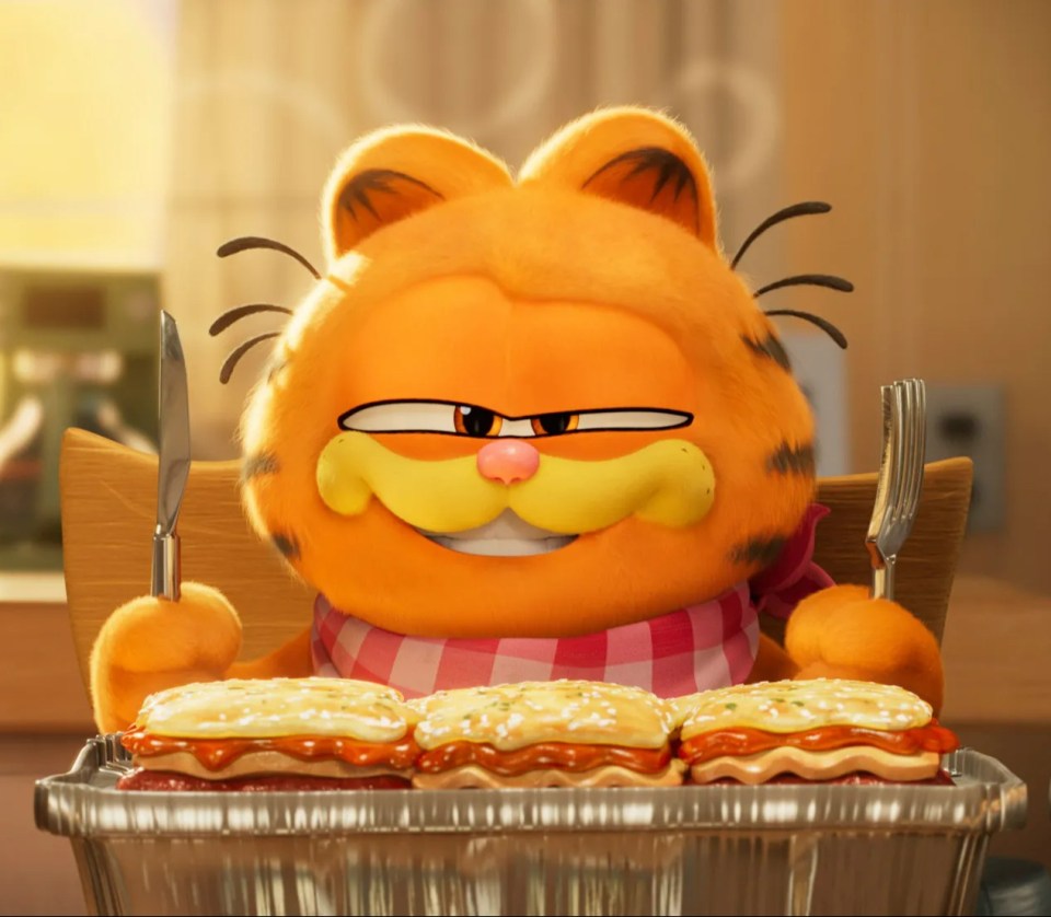 Crumbs has a strong resemblance to the cartoon character Garfield