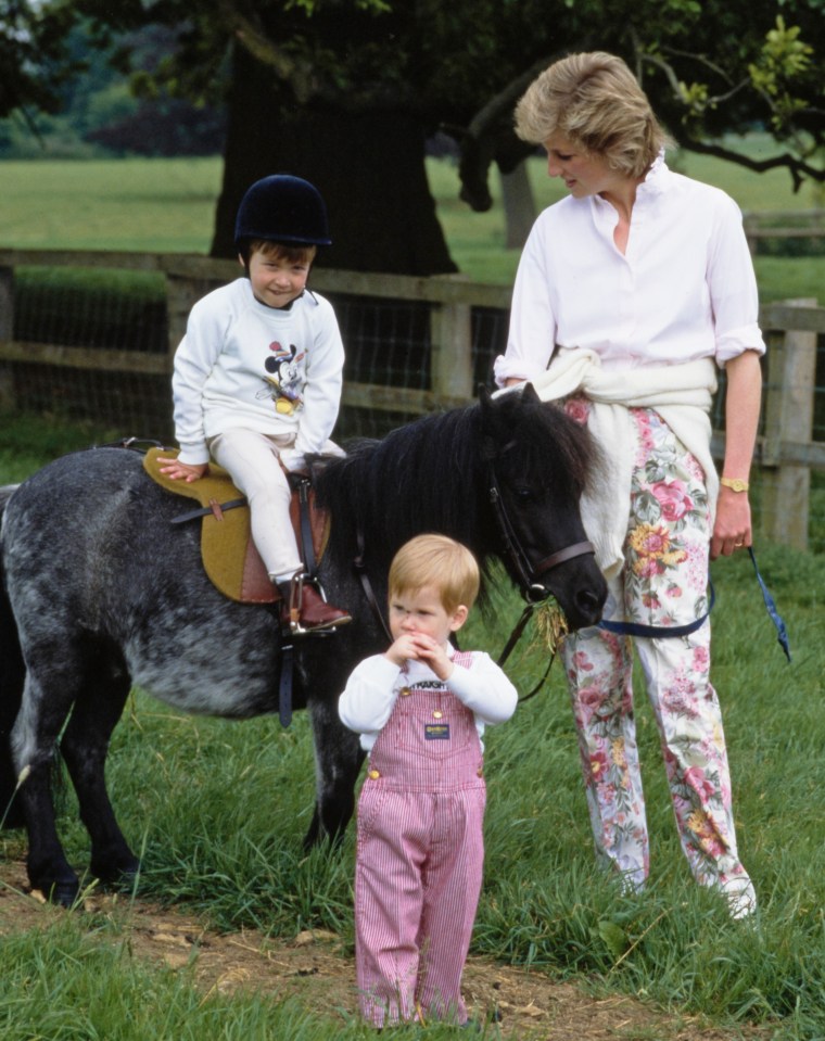 She claimed that prior to Diana's death, sibling rivalry was rife between Harry and William