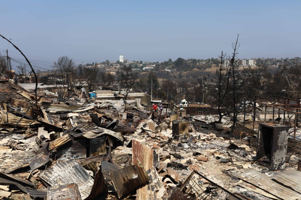 VINA DEL MAR, CHILE - FEBRUARY 05: A general view of the houses destroyed in forest fires as hundreds of people begin to remove debris from thousands of damaged homes in Vina del Mar, affected by forest fires, Chile on February 05, 2024. According to authorities, more than 15,000 homes were destroyed and 122 people died in the fire. (Photo by Lucas Aguayo Araos/Anadolu via Getty Images)