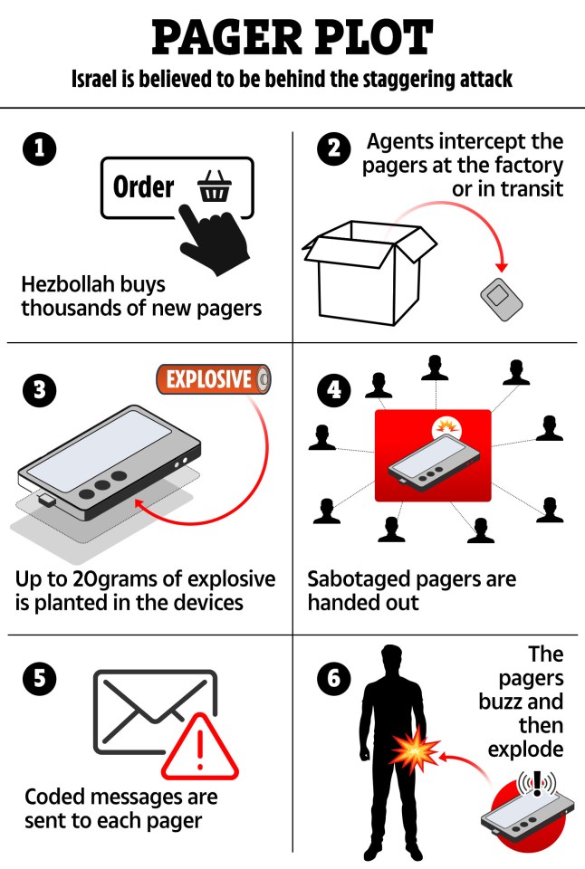 a diagram showing the stages of the pager plot