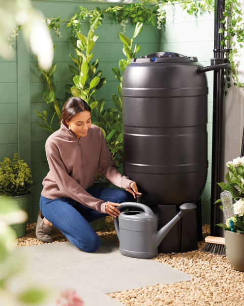 A water butt holds rainwater, which is better for your plants than tap water