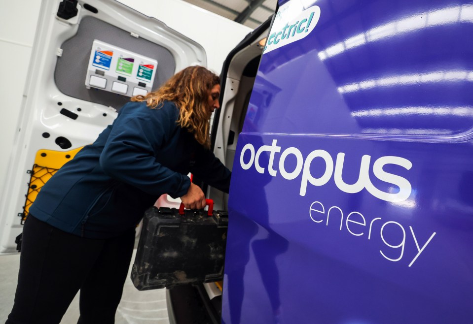 Octopus Energy will begin issuing the Warm Home Discount to thousands of customers next month