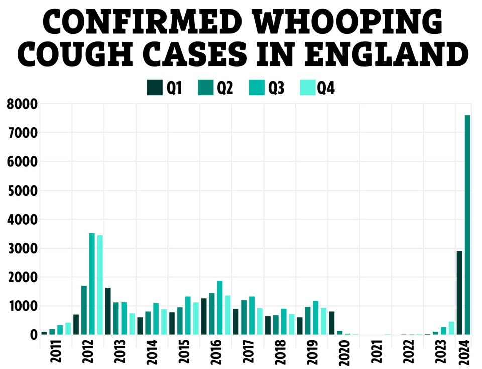 Whooping cough cases have surged