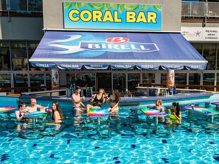 a group of people are in a swimming pool at the coral bar