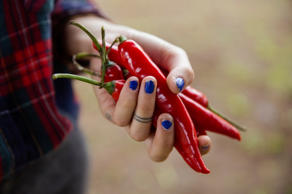 So she headed to the kitchen and found some chilli peppers