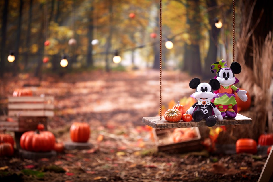 mickey mouse and minnie mouse are sitting on a wooden swing