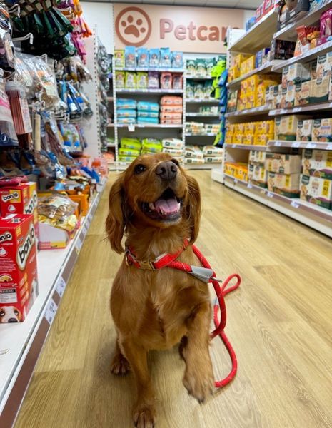 The Range said owners can now b ring dogs into its store