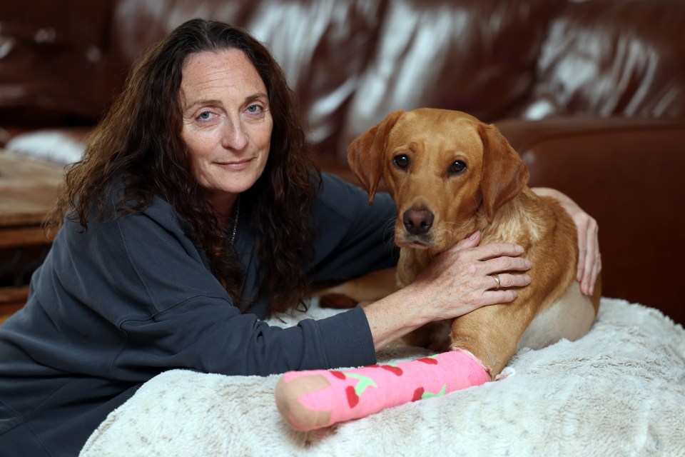 a woman laying on a couch with a dog with a pink cast on its leg