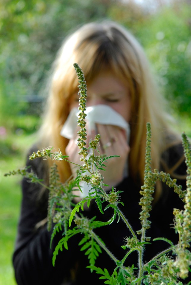 a woman blowing her nose in front of a plant