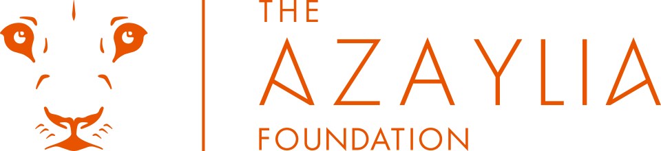 Money will go towards funding for childhood cancer specialists via our charity partner The Azaylia Foundation