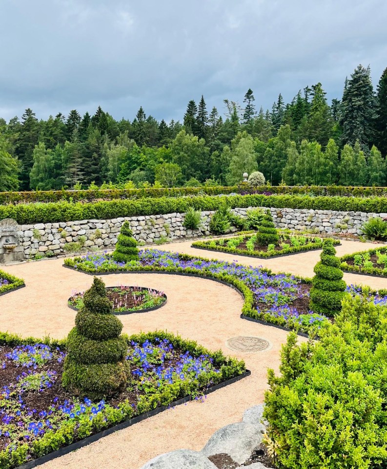 a garden with purple flowers and a stone wall