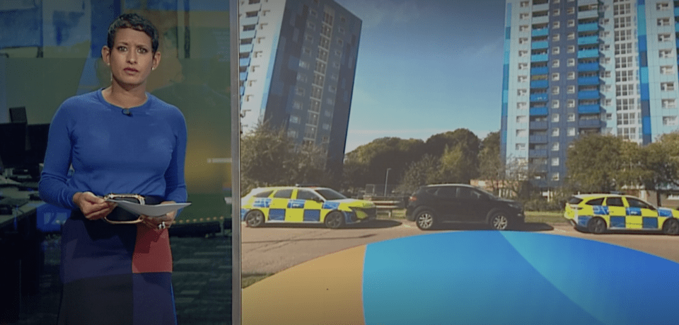 a woman stands in front of a row of police cars