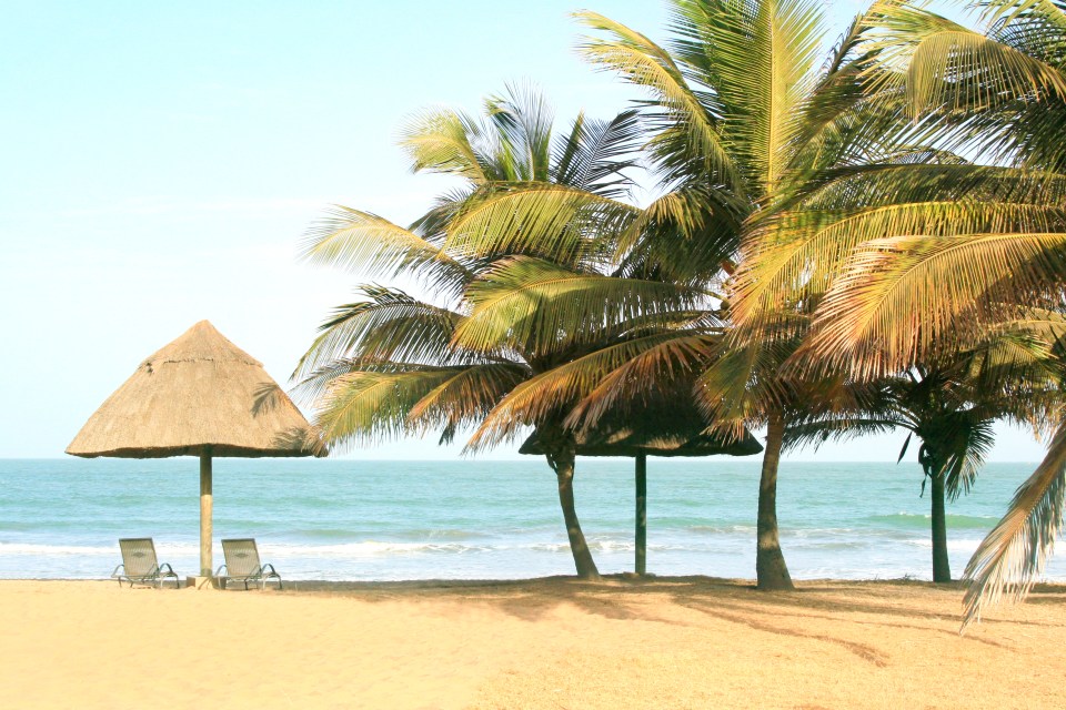 a beach with chairs and umbrellas and palm trees