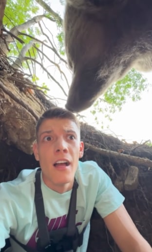 a man wearing a nike shirt is looking at a bear