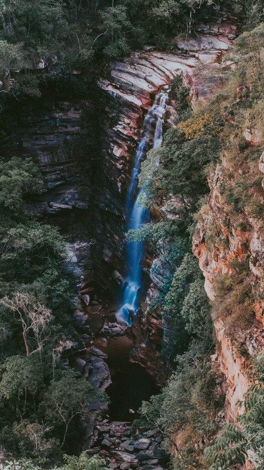 a waterfall that is surrounded by trees and rocks