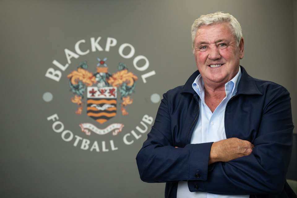 League One side Blackpool have appointed Steve Bruce as their manager