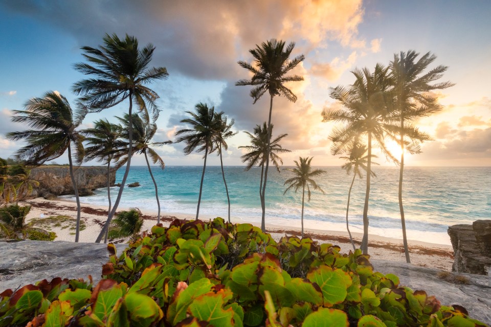 Barbados has its shoulder season in November