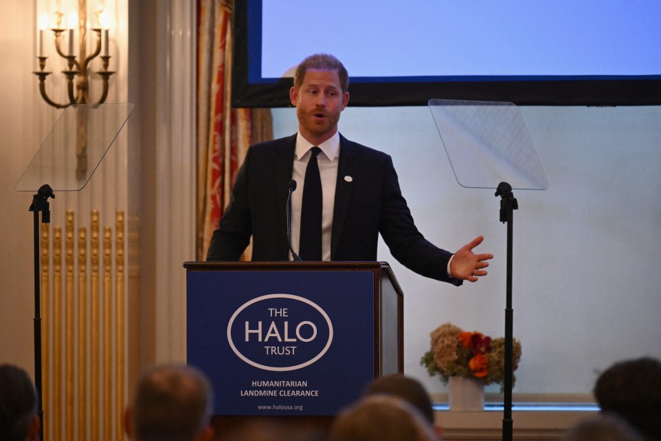 Prince Harry speaks at the HALO Trust event in New York