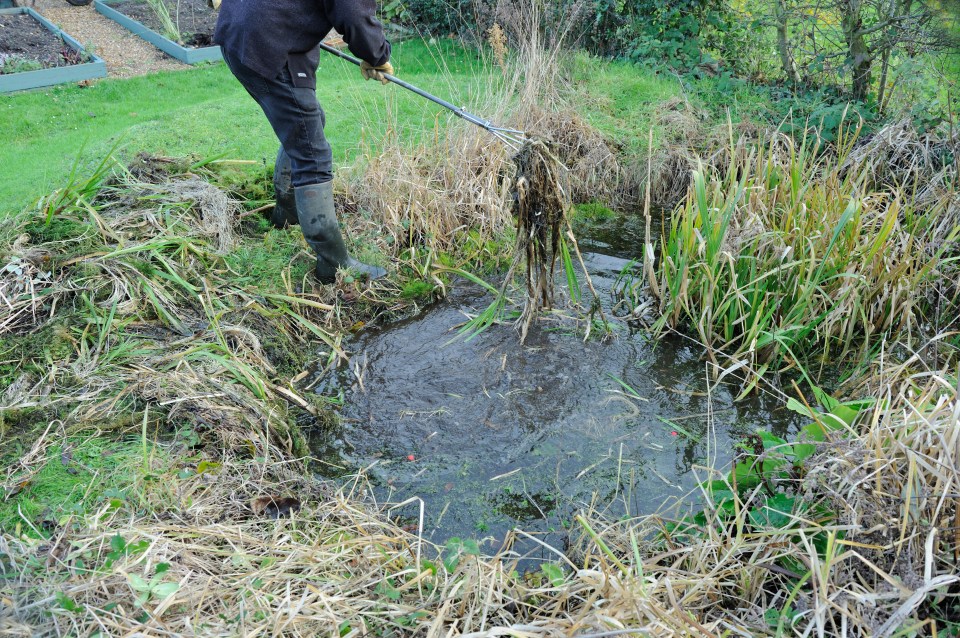 So if your pond is looking a bit of a mess, then you'll need to listen up and take notes, and according to the expert, it's much easier than you may think