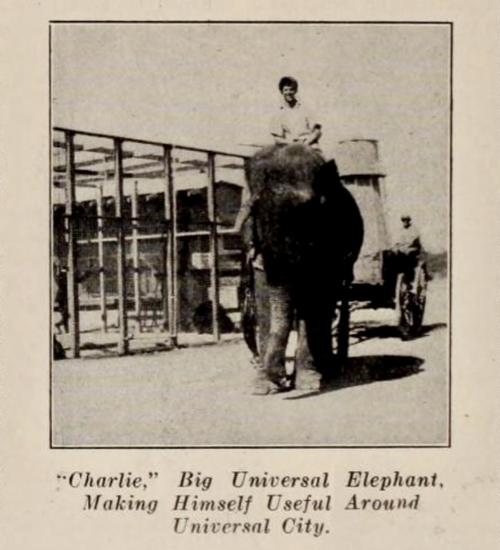 The elephant thrived in Hollywood's silent films but would later be sentenced to death