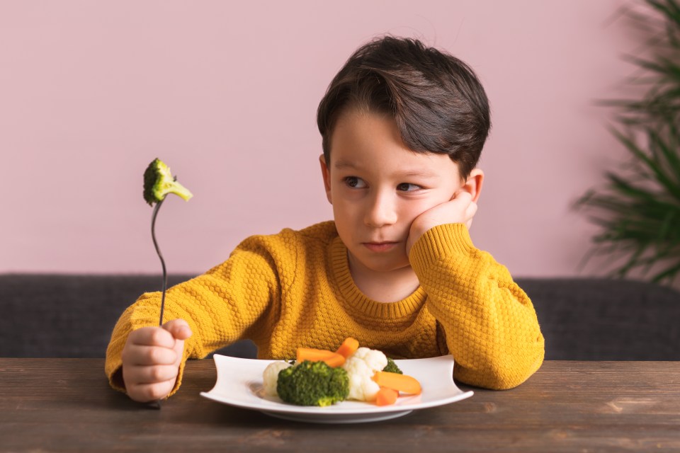 Polls suggest half of parents reckon their child is a fussy eater (stock image)