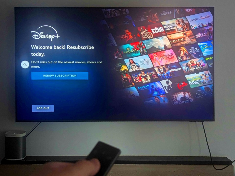 Shoppers can now pick up Disney's streaming service at a reduced cost - but not for long