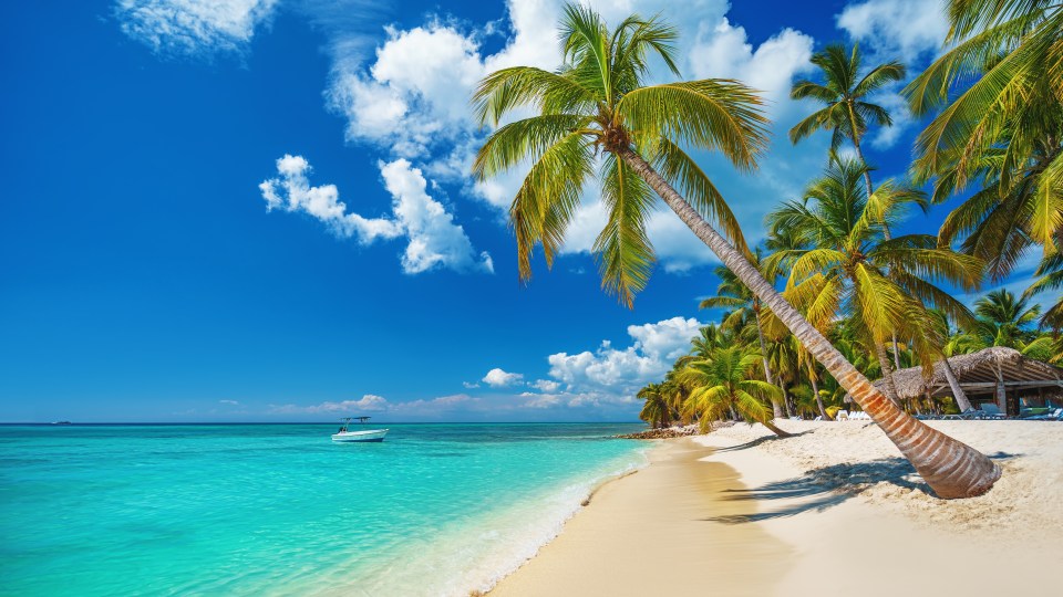 a tropical beach with palm trees and a boat in the water