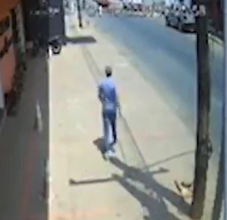 a man is walking down a sidewalk next to a tree .