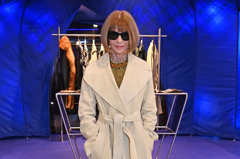 The iconic Anna Wintour is talking all things fashion for this retrospective doucmentary