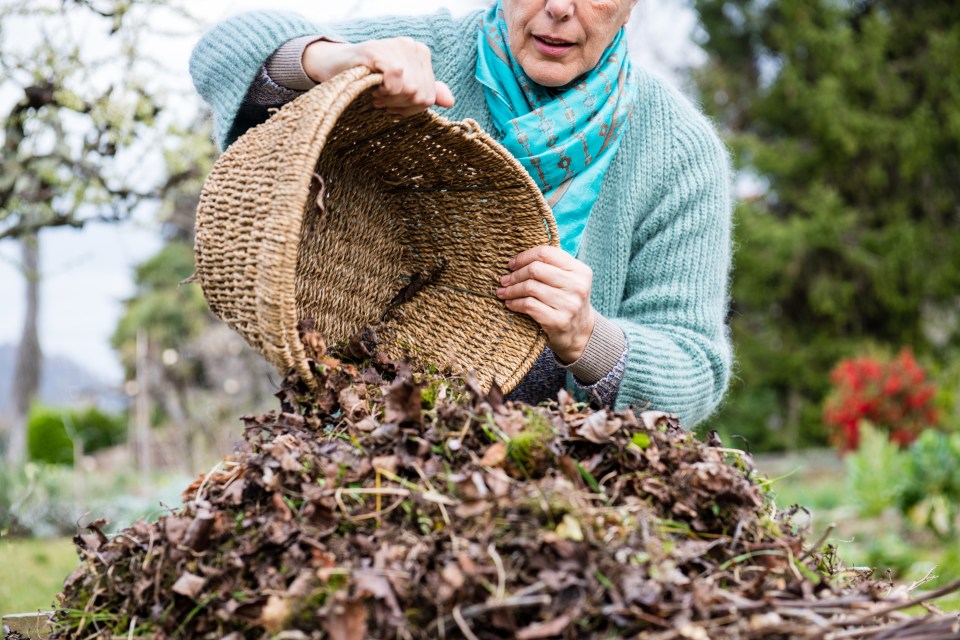 Five jobs to do now to keep your garden lush next spring