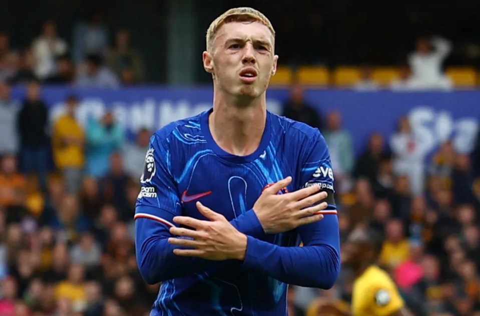 a soccer player wearing a blue jersey with the word premier league on it