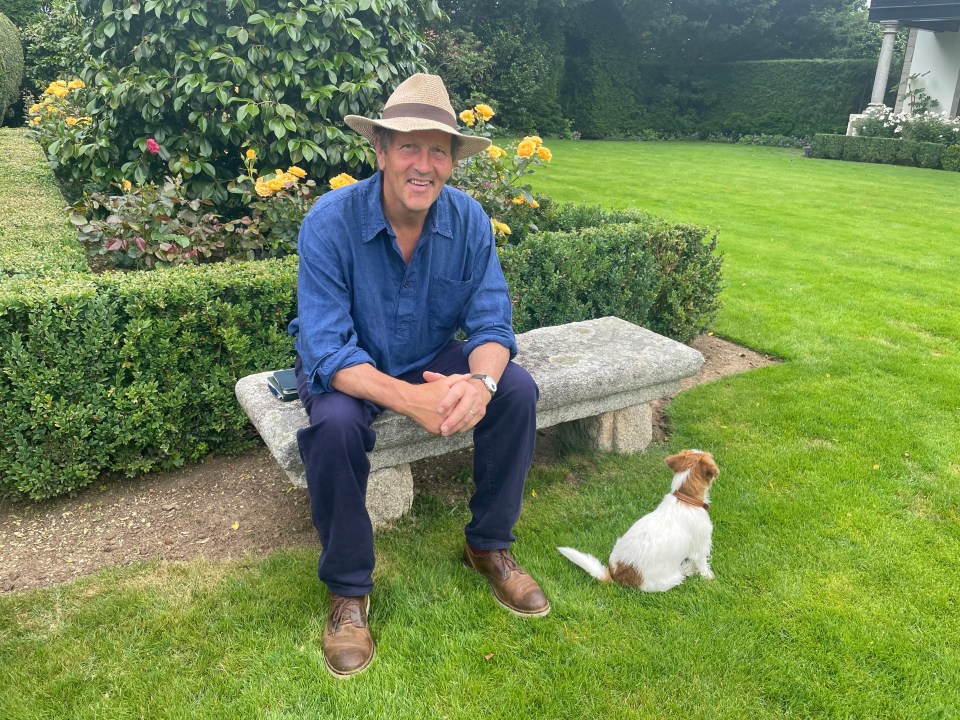 a man in a hat sits on a stone bench next to a small dog