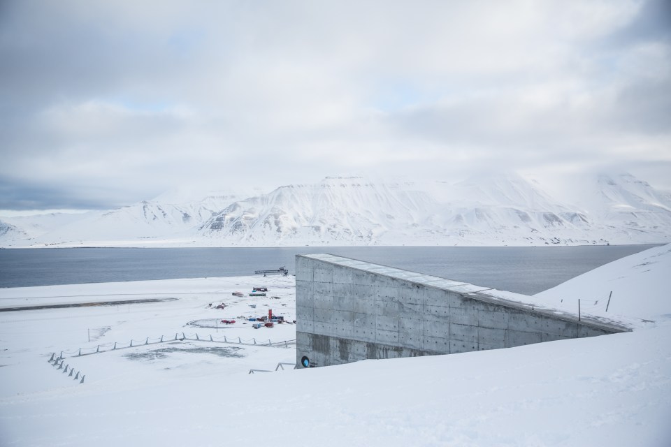 a snowy landscape with a building in the foreground and mountains in the background