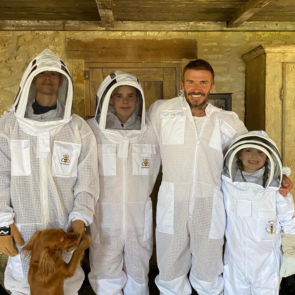 David - pictured here with kids Romeo, Cruz and Harper - has been keeping bees and will now start selling their honey